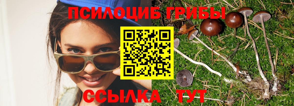 Орехово-Зуево  Псилоцибиновые грибы Cubensis  Вход с VPN 